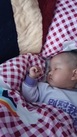 journal_insert_pic_4442929614