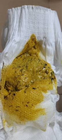 journal_insert_pic_4442928744