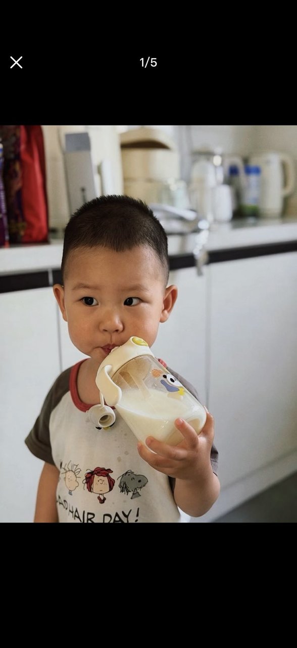 清晨的温柔 从一杯热奶开始🥛