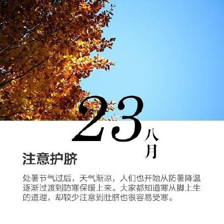 journal_insert_pic_1079324484