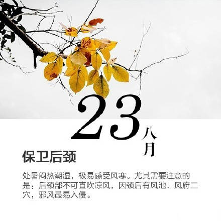 journal_insert_pic_1079324482
