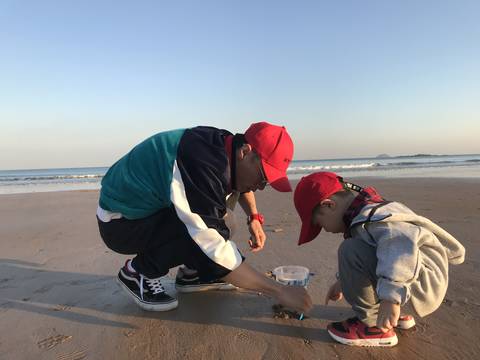 journal_insert_pic_1108706517