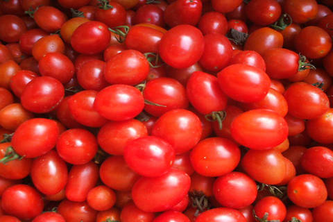 journal_insert_pic_1113702698