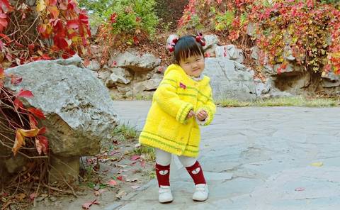 journal_insert_pic_1125242001