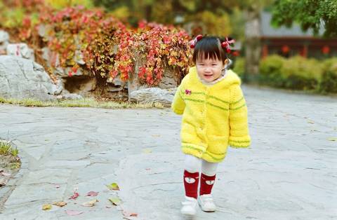 journal_insert_pic_1125239953