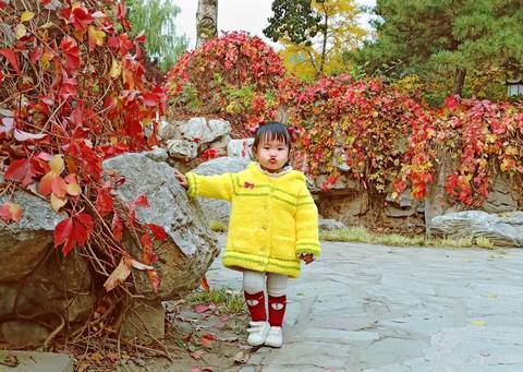 journal_insert_pic_1125239931