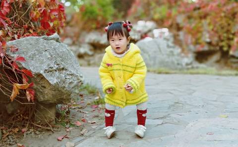 journal_insert_pic_1125239936