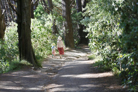 journal_insert_pic_1202313719