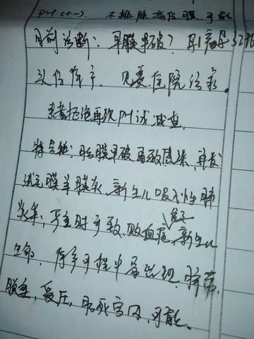 journal_insert_pic_1203690595