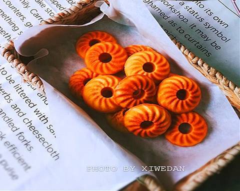 journal_insert_pic_1062133205