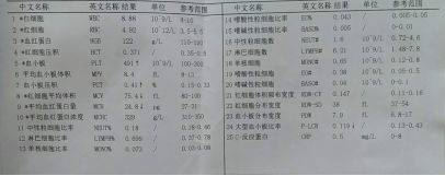 journal_insert_pic_1088041041