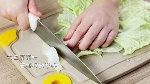 journal_insert_pic_1146272922