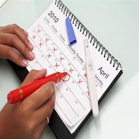 journal_insert_pic_1165656196