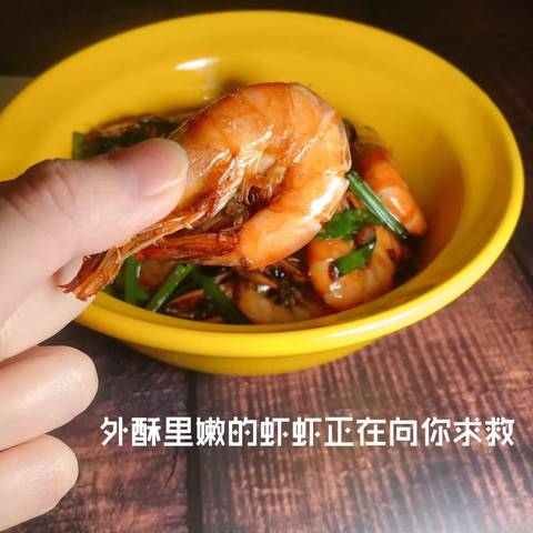 journal_insert_pic_1170265619