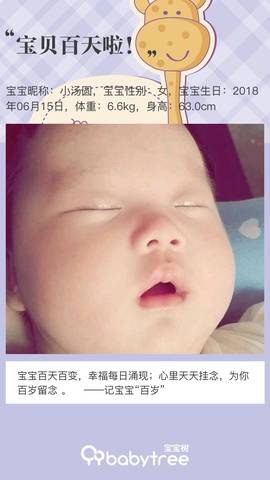journal_insert_pic_1096306652