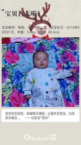 journal_insert_pic_1098625507