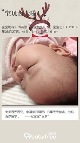 journal_insert_pic_1103453478