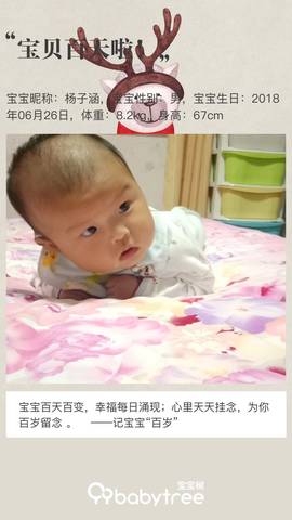journal_insert_pic_1104528716