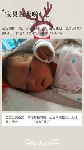 journal_insert_pic_1105979182