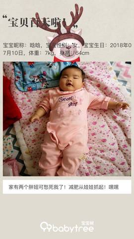 journal_insert_pic_1111059120