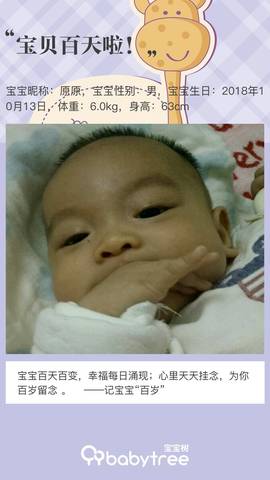 journal_insert_pic_1111120044