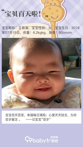 journal_insert_pic_1115505967