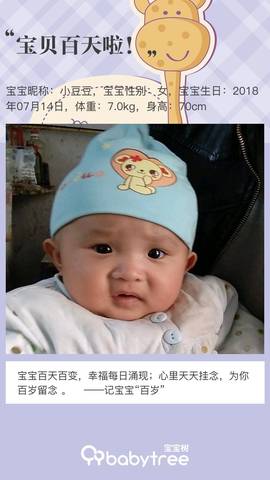 journal_insert_pic_1116390847