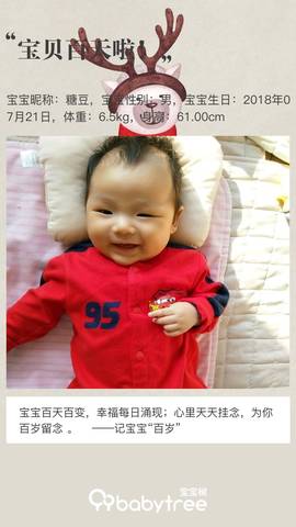 journal_insert_pic_1116785417