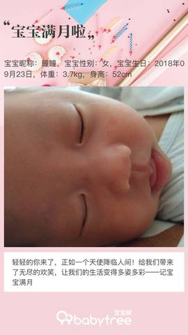 journal_insert_pic_1117810991