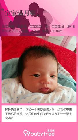 journal_insert_pic_1117374991