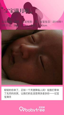 journal_insert_pic_1121349408