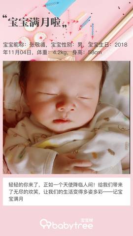 journal_insert_pic_1123643331