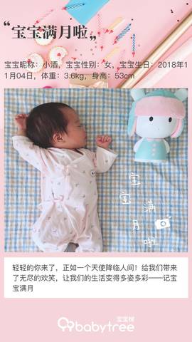journal_insert_pic_1123768076