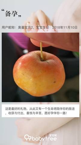 journal_insert_pic_1127276562