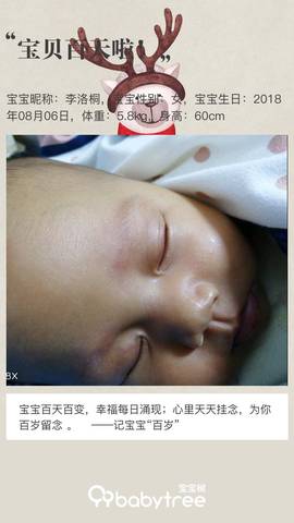 journal_insert_pic_1127819155