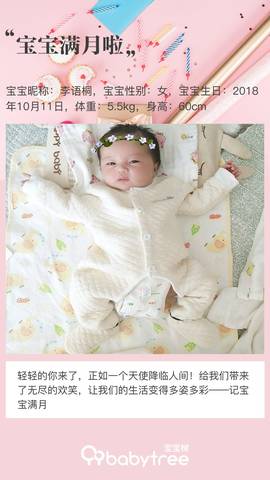 journal_insert_pic_1128763934