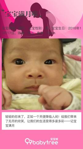 journal_insert_pic_1129414223