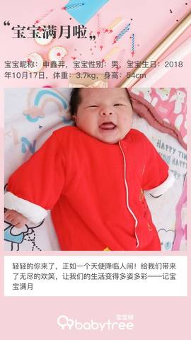 journal_insert_pic_1129314897