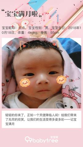 journal_insert_pic_1130294277