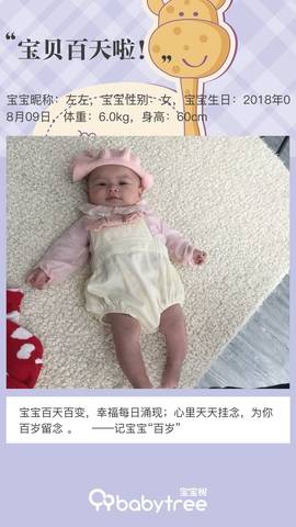 journal_insert_pic_1130805161