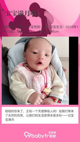journal_insert_pic_1130742528