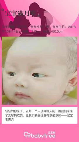 journal_insert_pic_1131638747