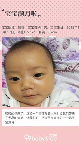 journal_insert_pic_1131888656