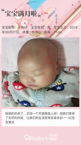 journal_insert_pic_1133839759