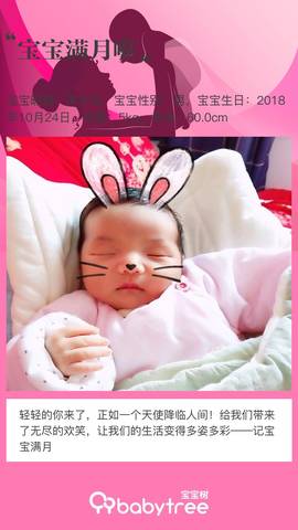 journal_insert_pic_1135982078
