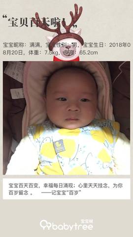 journal_insert_pic_1136199225