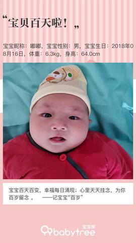journal_insert_pic_1137716794