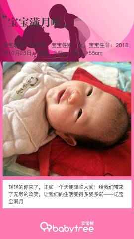 journal_insert_pic_1138223183