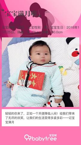 journal_insert_pic_1138442639