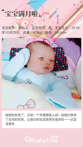 journal_insert_pic_1138333023